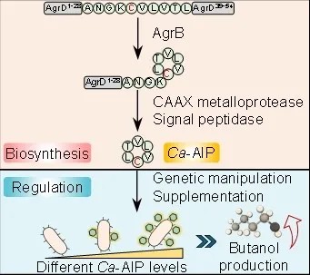 權(quán)威認(rèn)定！大工校友企業(yè)榮膺工信部首批“卓越級(jí)智能工廠”及“實(shí)數(shù)融合典型案例”雙項(xiàng)榮譽(yù)